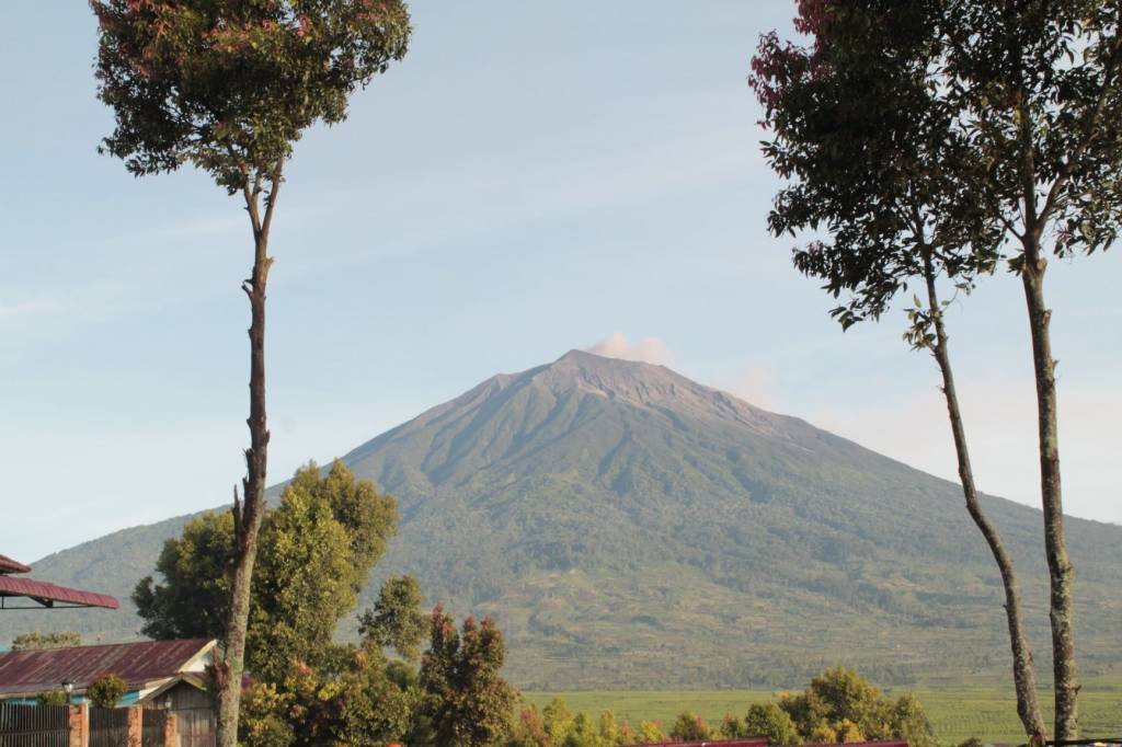 Sumatra Koerintji Barokah Bersama Sumatra Koerintji Barokah Bersama