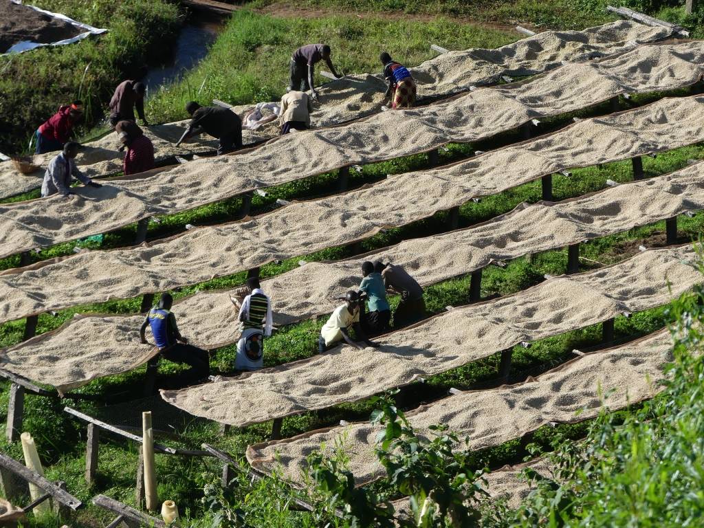 Burundi Ngogomo Burundi Ngogomo