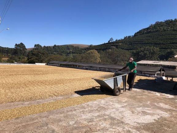 Brazilie Fazenda Coqueiro: 250g
