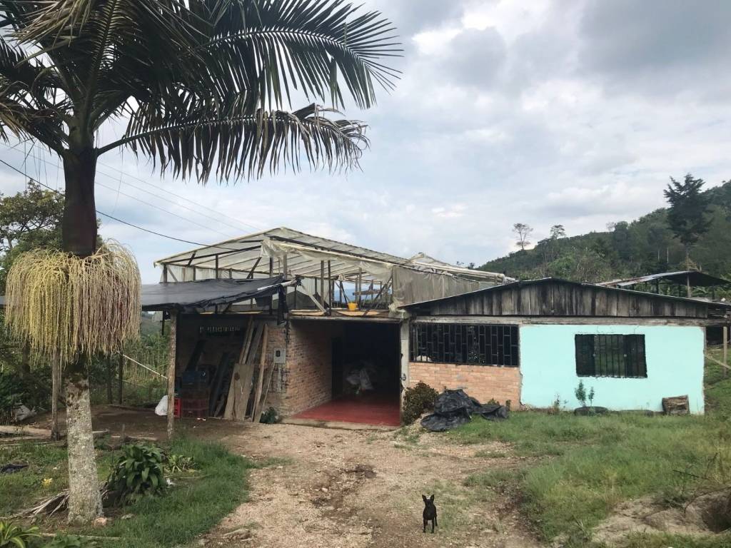 Kolumbie Huila - Asoguacharos