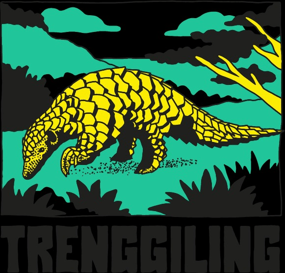 Indonesie Trenggiling
