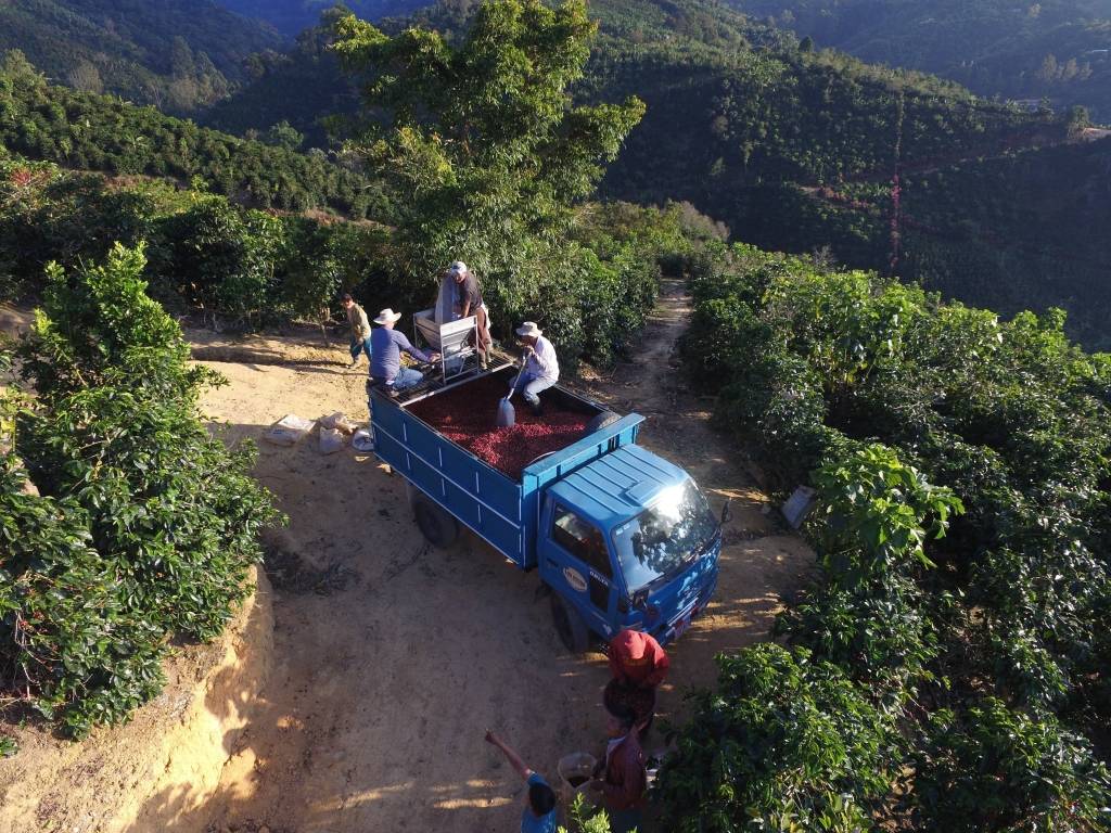 Costa Rica Los Santos - Amapola: 500 g