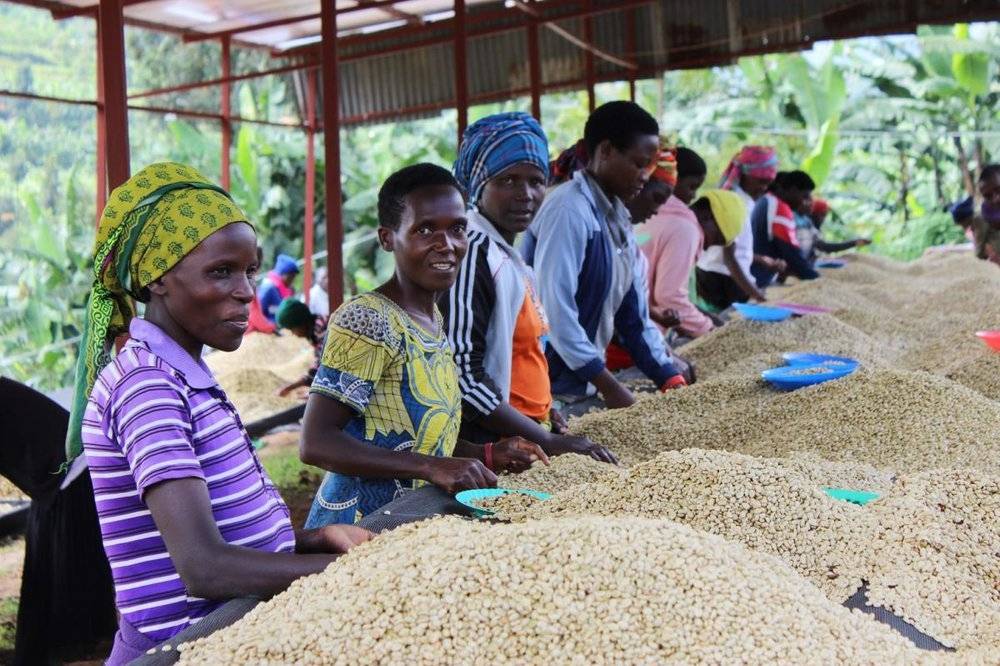 Rwanda Rushashi Rutabo Rwanda Rushashi Rutabo