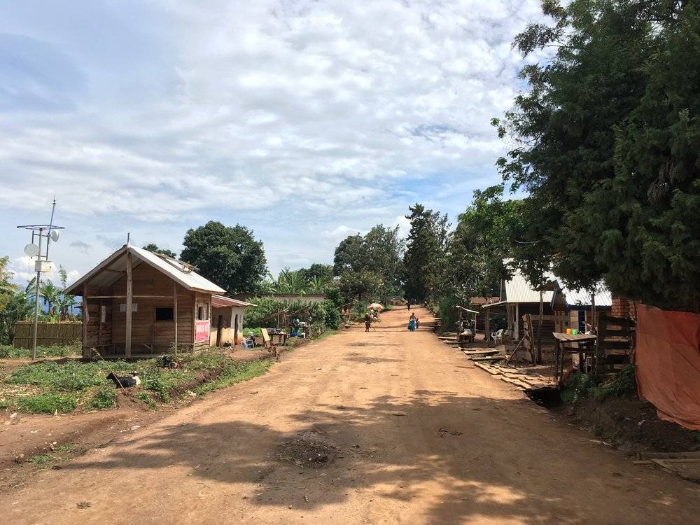 Kongo Ngula