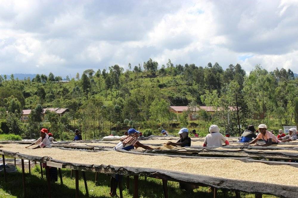 Rwanda Minazi Village
