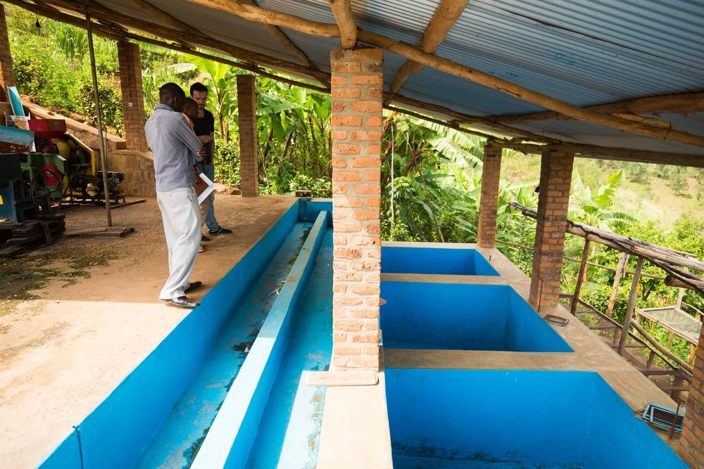 Rwanda Coko - Buhuri village: 500g