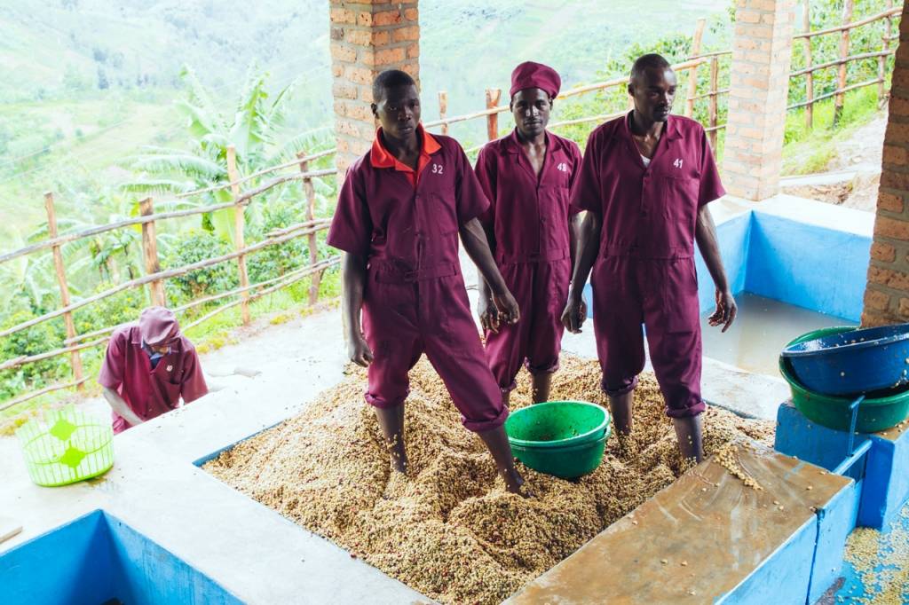 Rwanda Coko - Buhuri village: 250g