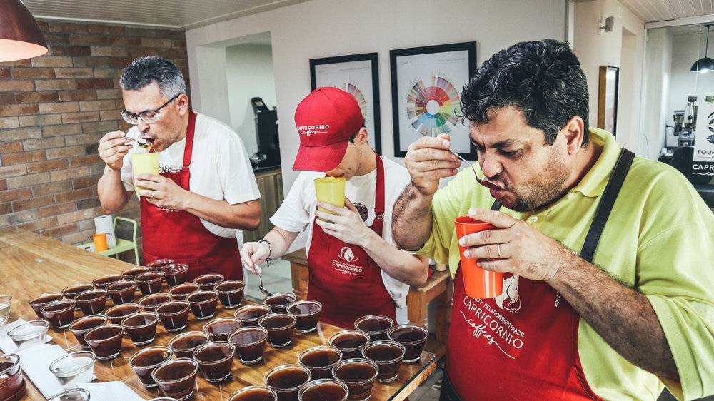 Brazil Tijuco Preto: 500 g